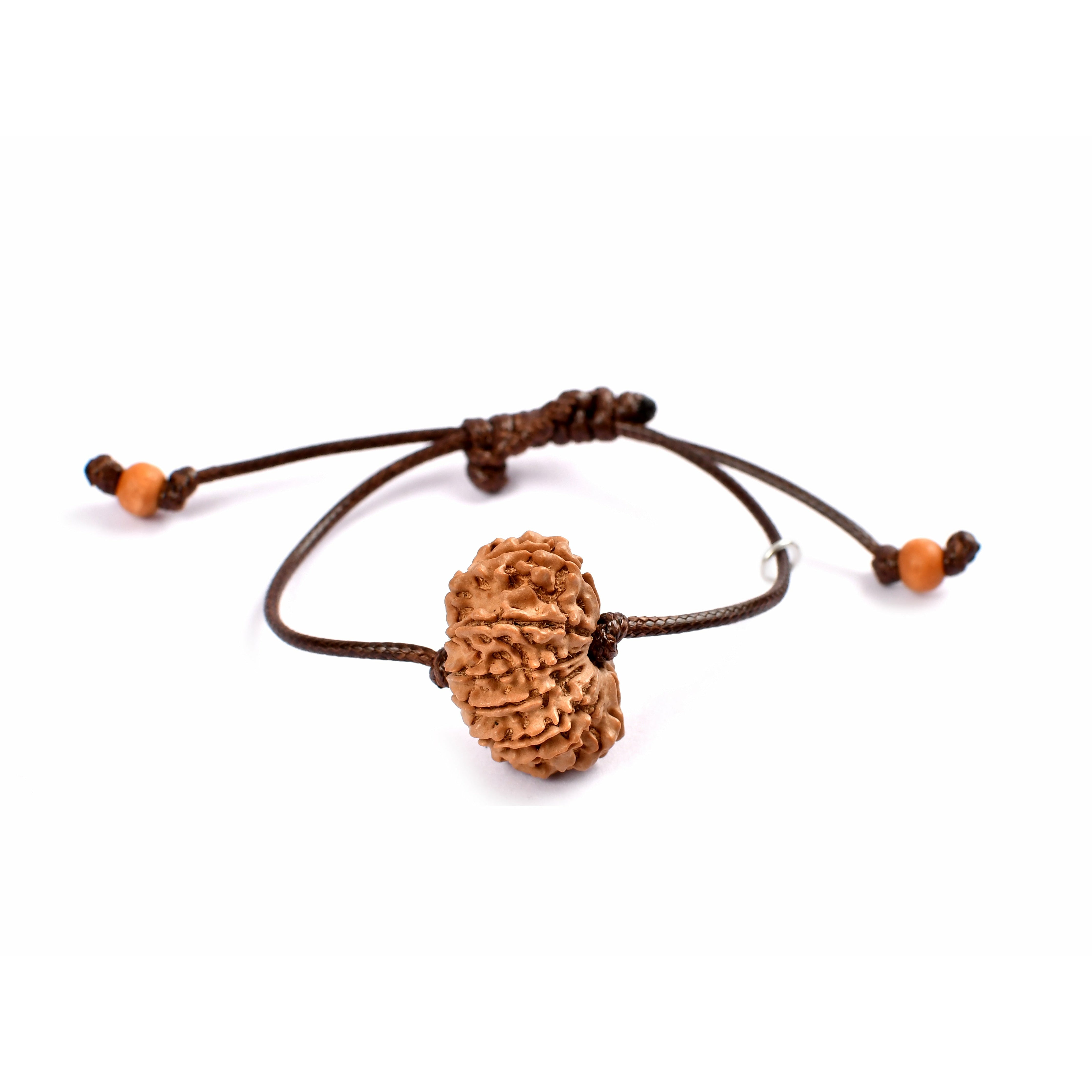 13-Augen-Rudraksha (Nepal)